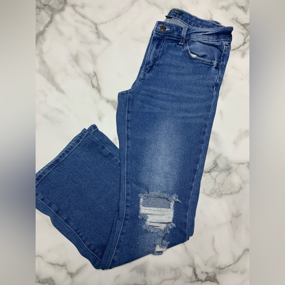 Wild Fable Low Rise Distressed Jeans